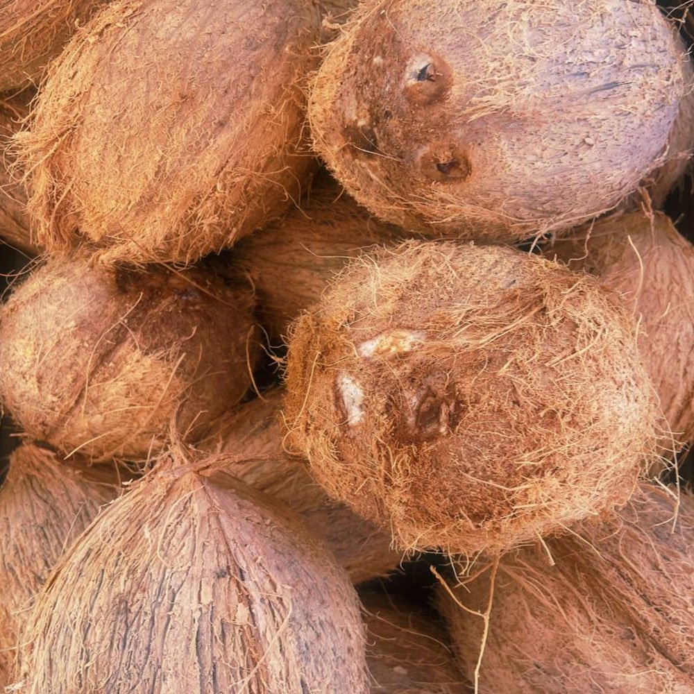 Coconuts Image